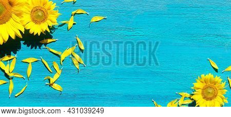 Banner With Yellow Sunflower Flowers And Petals Scattered On Vibrant Textured Turquoise Wood Board. 