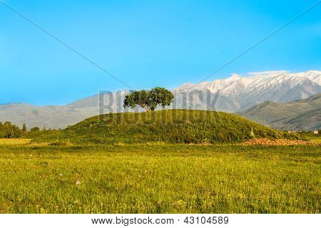 Tek ağaç ve dağlar, Kazakistan, Almaty, yol Issyk de gökyüzünde. Bahar görüntü