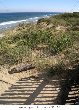Cape Cod Beach