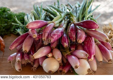 Bunches Of Young Violet Simiane Organic Onions On Market In Provence, France