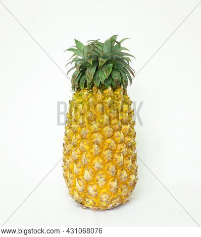 Freshly Picked Ripe, Golden-yellow Pineapple Along With Its Green, Leafy Head Isolated In A White Ba