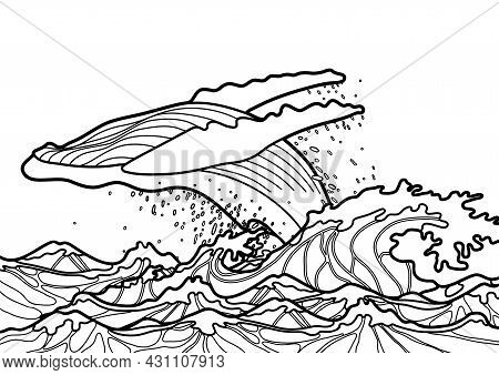 Graphic Humpback Whale Jumps Out Of Water