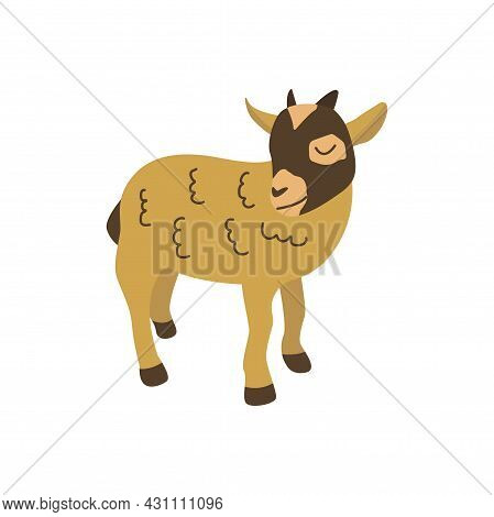 American Pygmy Goat. Mammal Herbivore. Colorful Vector Isolated Illustration Hand Drawn. Farm Animal