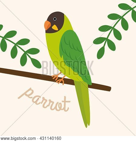 Green Parrot Isolated On A Branch With Leaves. Vector Illustration.