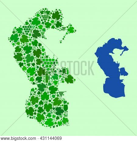 Vector Map Of Caspian Sea. Collage Of Green Grapes, Wine Bottles. Map Of Caspian Sea Collage Created