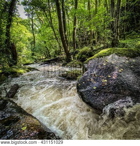 Gorges of the monne river in the green forest, Puy-de-DÃ´me, Auvergne