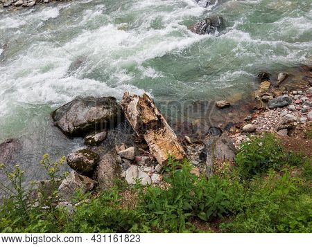 Deforestation Tree Log In River Of Kalam Valley Swat