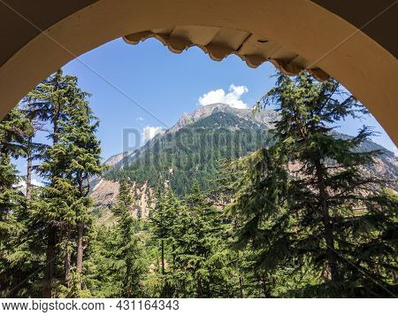 A Scenic View Of Cedar Trees In The Mountain Of Kalam Swat Valley