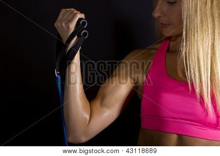 กล้ามเนื้อเพศหญิง หนู