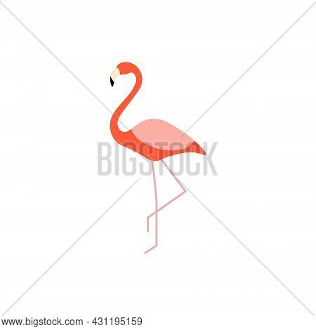 Flamingo Flat Icon. Maldives, Africa Animal. Exotic Vacation. Color Filled Symbol. Isolated Vector S