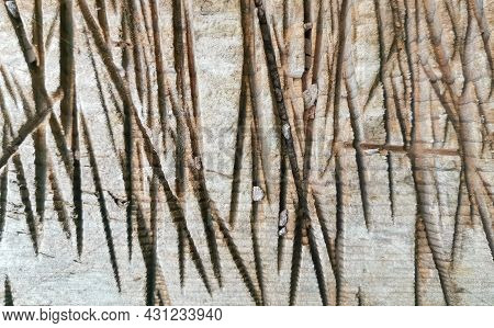 Background Of An Old Gray Wooden Plank With Traces Of An Ax Close-up