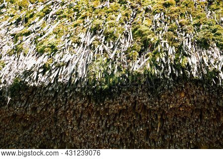 Texture, Background. Butt, A Cut Of An Reed. Reed Roof Edge.