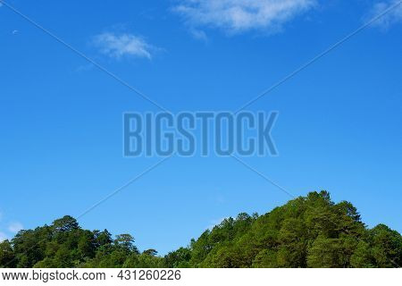 Pine Trees On Two Mountain Peaks And Blue Sky. An Image For Nature Theme Background With Blue Sky As