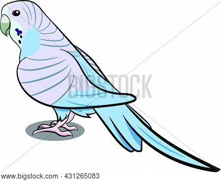 Pigeon Standing With Shadow. Grey Bird. Birds From Different Parts Of World. Common Birds. Bird Icon