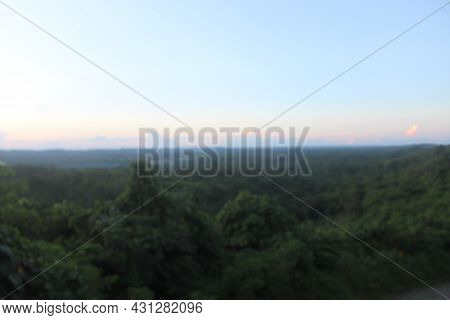 Defocused Nature Abstract Background, Daylight In Nature