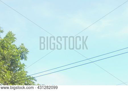 Defocused Nature Abstract Background, Daylight In Nature