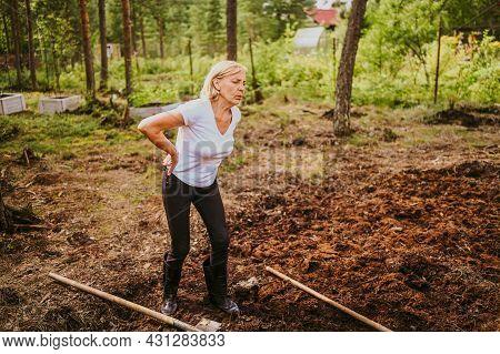 Senior Gardener Woman Falls Hurts Back Pain Radiculitis Digging At Summer Farm Countryside Outdoors 