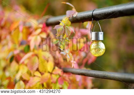Colourful Solar Light Bulbs Hanging On Garden Fence Decorated With Red Virginia Creeper Leaves On Br