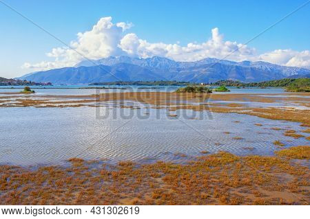 Beautiful Wetland Landscape. Montenegro.  View Of Special Nature Reserve Tivat Saline  ( Tivatska So
