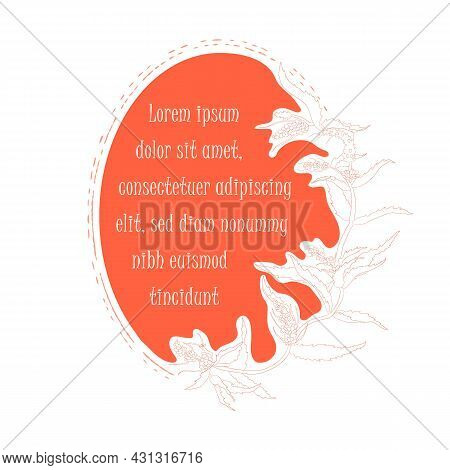 Hand Drawn Spearmint Or Mentha Spicata Isolated. Contour Spearmint Without Color Fill. Ideal For Mag