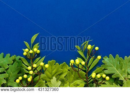 Autumn Oak And Rowan Branches With Red Berries On Blue Background.
Flat Lay, Top View, Copy Space Co
