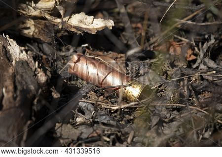 Empty, Shiny, Peach Ammunition Shell In The Mud