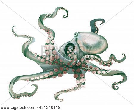 Watercolor Octopus. Sea Pulpa, Devilish With Tentacles Illustration Is Isolated On A White Backgroun