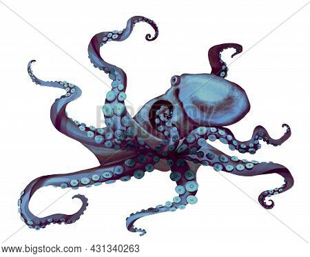 Watercolor Octopus. Sea Pulpa, Devilish With Tentacles Illustration Is Isolated On A White Backgroun