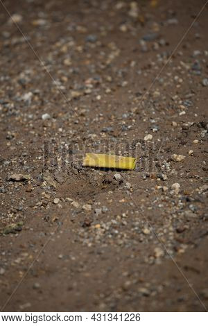 Crushed Yellow Ammunition Shell Embedded In The Mud