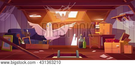 Doves In Abandoned Attic With Old Things, Ladder In Hatch, Roof Window And Furniture. Pigeons Live O