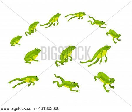 Set Of Green Frogs Jumping In Sequence. Cartoon Vector Illustration. Leaping Toads On White Backgrou