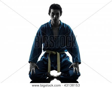 en asiatisk ung mand udøvelsen af kampsport karate vietvodao i silhuet studio isoleret på hvid 
