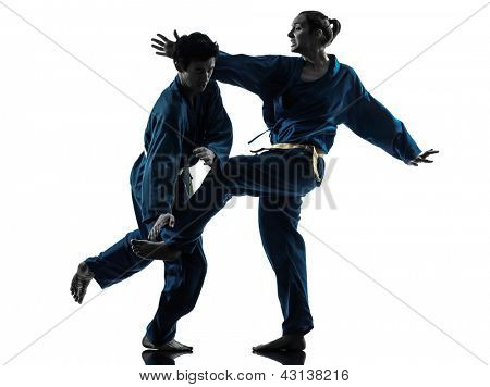 jeden człowiek kobieta kilka ćwiczeń sztuk walki vietvodao karate w studio sylwetka na białym tle na Zielone Świątki