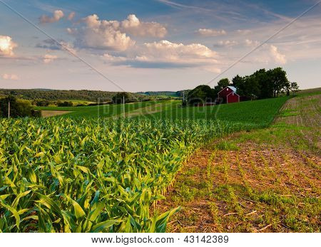 Kukuřičném a farmu v jižním York County, Pensylvánie