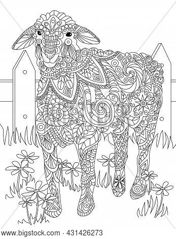 Large Drawing Of A Sheep Standing Alone Inside The Fence Waiting For Shephered. Big Lamb Line Drawin