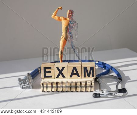 Medical Exam Concept. Inner Organs Examining And Diagnostics.