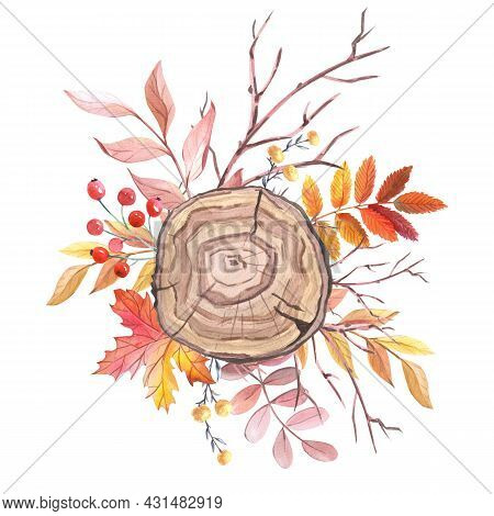 Watercolour Arrangement Of Roses And Leaves. Autumn Composition Withy Yellow, Pink Rose