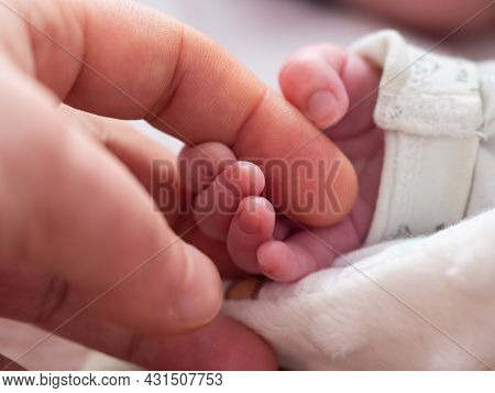 Parent Holding In The Hands Tiny Hand Of Newborn Baby.