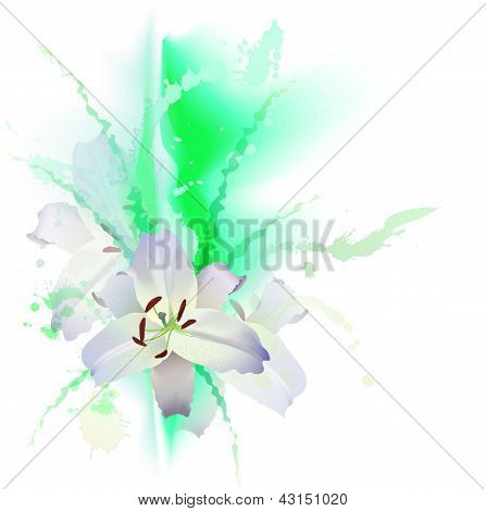 white flowers