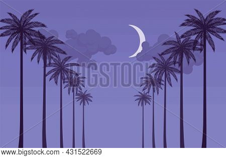 Palm Tree Row Night Silhouette, Sea Shore Beach Stunning Scenery. Beachside Tropical Gorgeous View, 