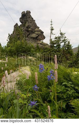 Large Kurum Stones Lie In The Forest In The Mountains, Stones Covered With Moss, Against The Backgro