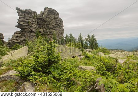 Large Kurum Stones Lie In The Forest In The Mountains, Stones Covered With Moss, Against The Backgro