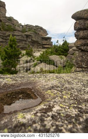 Large Kurum Stones Lie In The Forest In The Mountains, Stones Covered With Moss, Against The Backgro