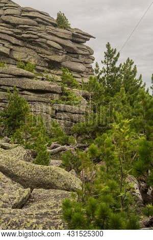 Large Kurum Stones Lie In The Forest In The Mountains, Stones Covered With Moss, Against The Backgro
