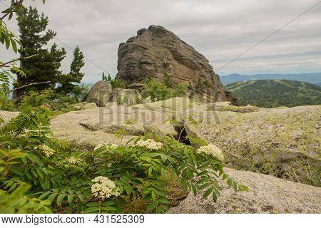 Large Kurum Stones Lie In The Forest In The Mountains, Stones Covered With Moss, Against The Backgro