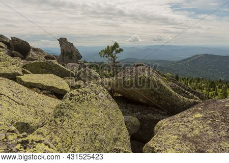 Large Kurum Stones Lie In The Forest In The Mountains, Stones Covered With Moss, Against The Backgro