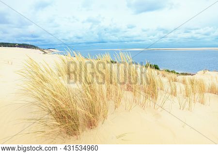 Sandy Coast Of Atlantic Ocean . Banc D'arguin Island In France