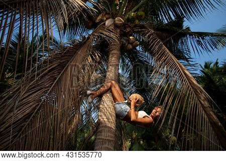 Girl shakes the press on the trunk of a palm tree in a palm grove