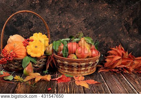 Autumn Abstract Composition With Maple Leaves, Thanksgiving Day Concept, Basket With Pumpkins, Pumpk