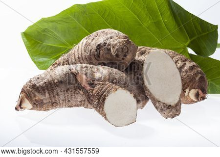 Malanga Edible Tuber - Root Of The Plant Called Colocasia Esculenta